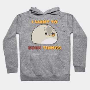 Burn Things Hoodie